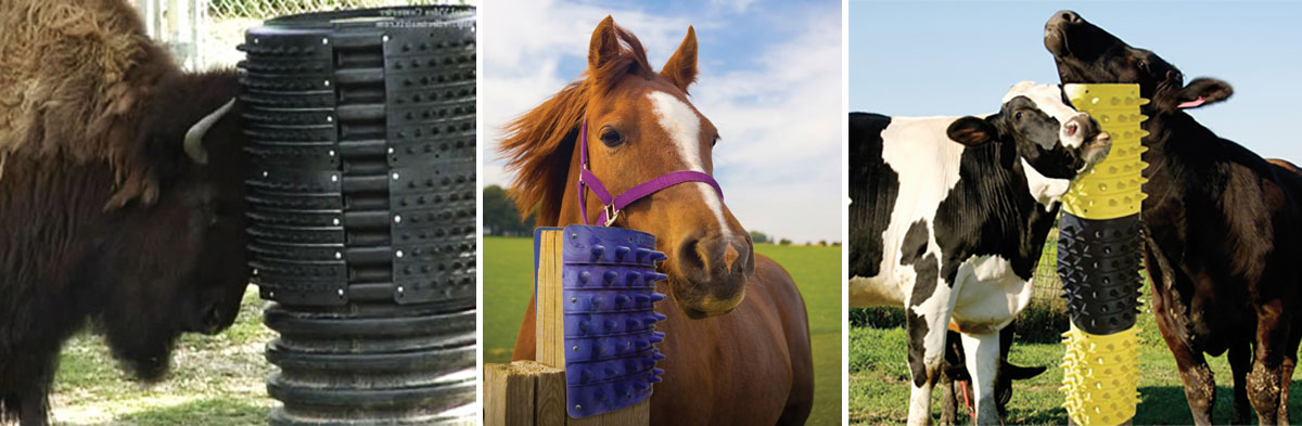 buffalo, horse and cows using itchin posts